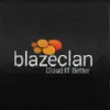 BlazeClan Technologies Pvt Ltd logo