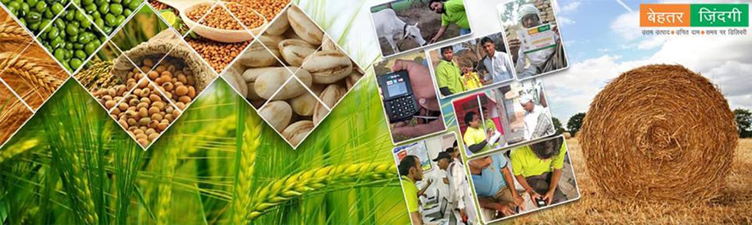 Company featured pictures