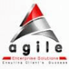 Agile Enterprise Solutions Inc