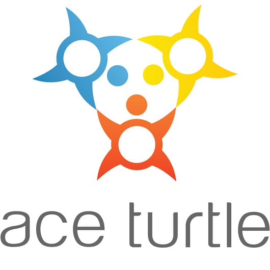 Ace turtle services's logo