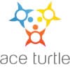 Ace turtle services