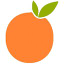 OrangeTwig's logo