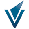 VNS Finance and Capital Services logo