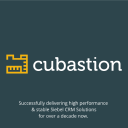 Cubastion Consulting's logo