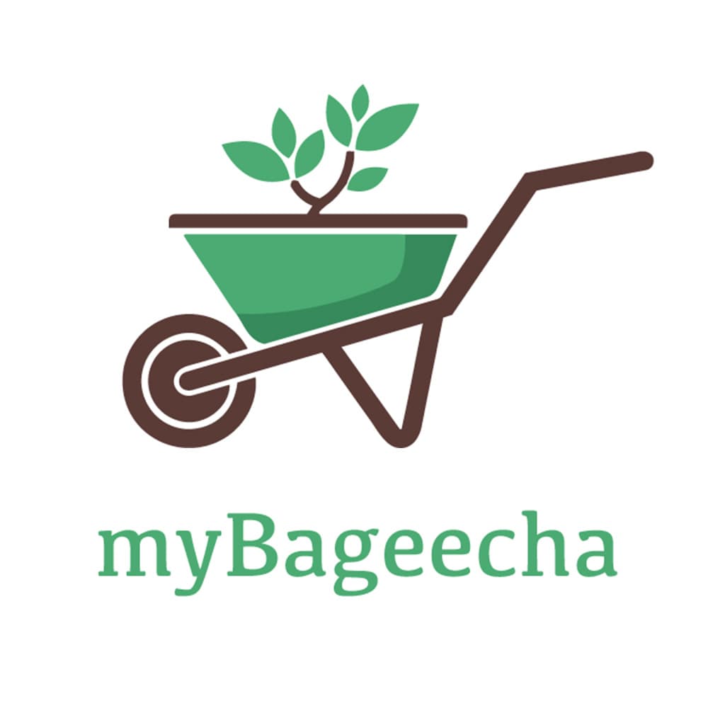 myBageecha.com's logo