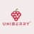 Uniberry Technologies Private Limited logo