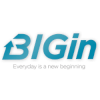 BIGin Digital Solutions logo