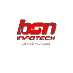 BSN Infotech Pvt Ltd's logo