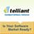 Telliant Systems