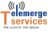Telemerge IT Services PVT LTD logo
