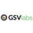 GSVlabs logo