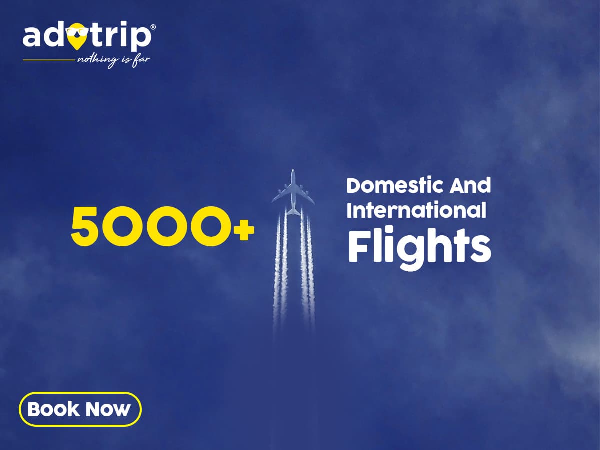 Company featured pictures