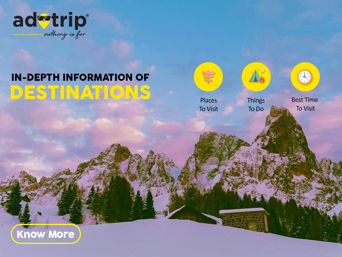 Company featured pictures