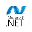 ASP.NET Developer