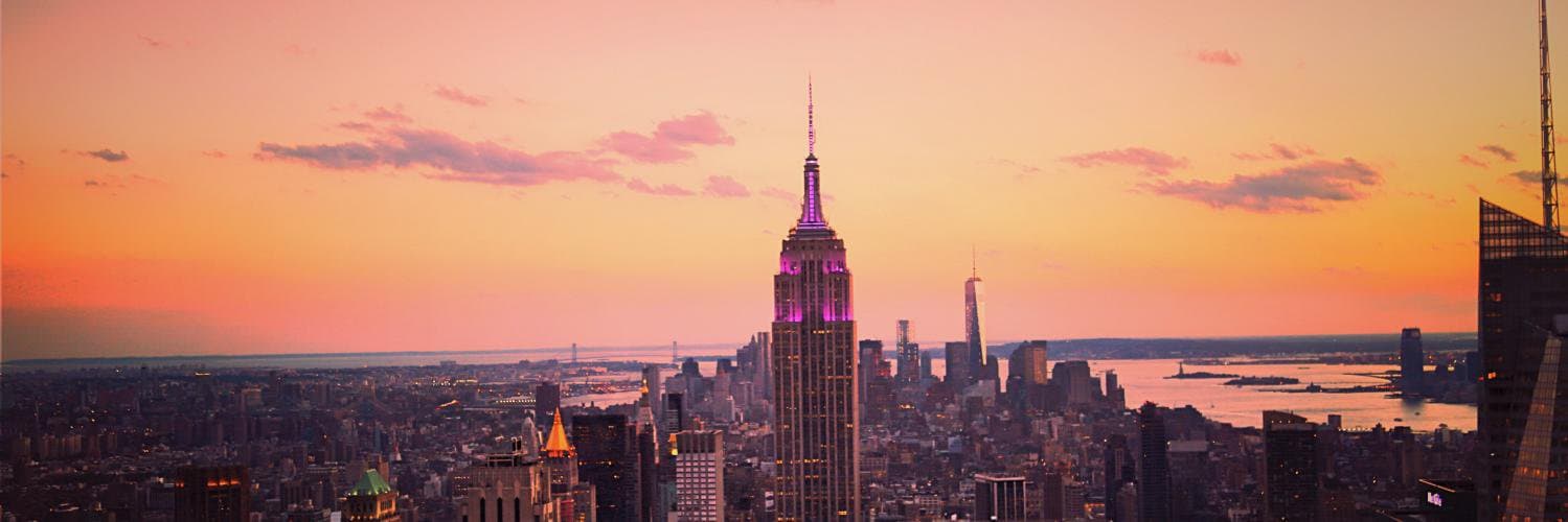 Mediastinct cover picture