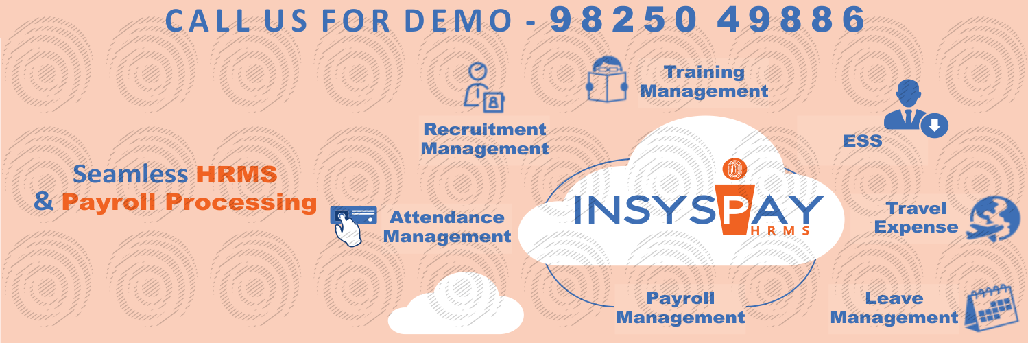 InSysPay cover picture