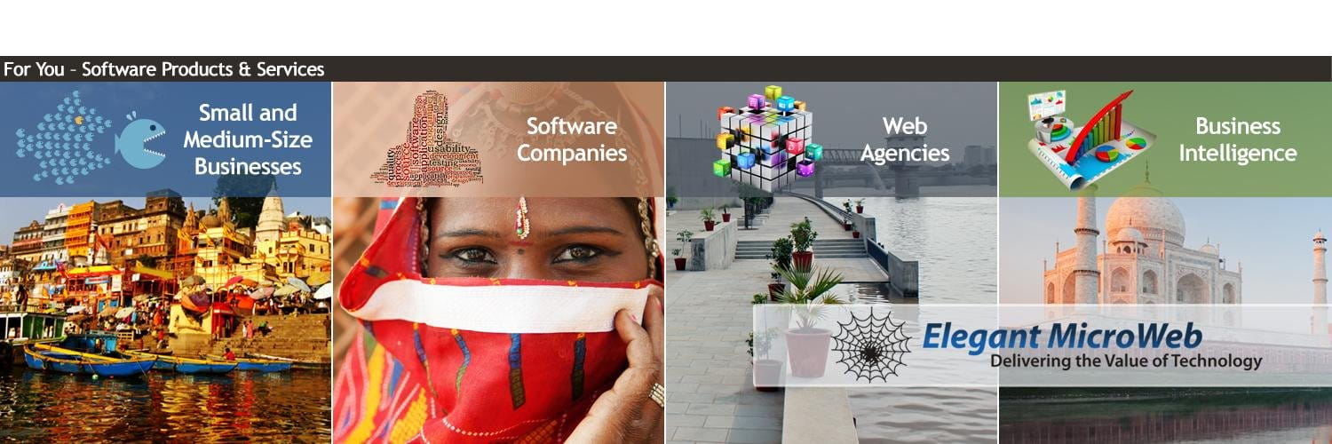 Elegant MicroWeb cover picture