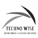 Techno Wise logo