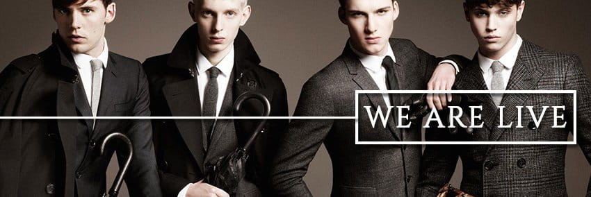 Peluche.Inc cover picture