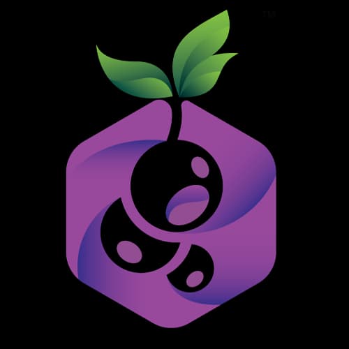 Blackcurrant Labs Pvt. Ltd.  logo