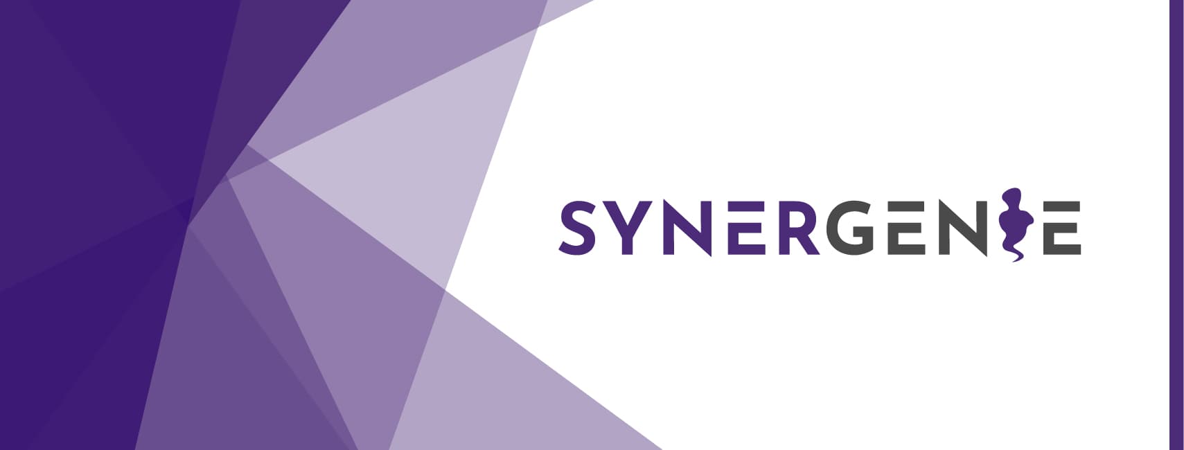 SynerGenie Solutions cover picture