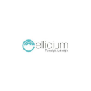 Ellicium Solutions Private Limited's logo