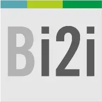 Bridgei2i Analytics Solutions logo