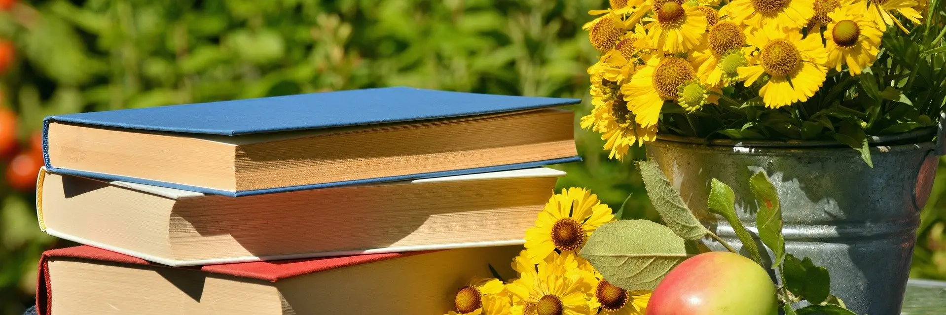Mynextbook cover picture