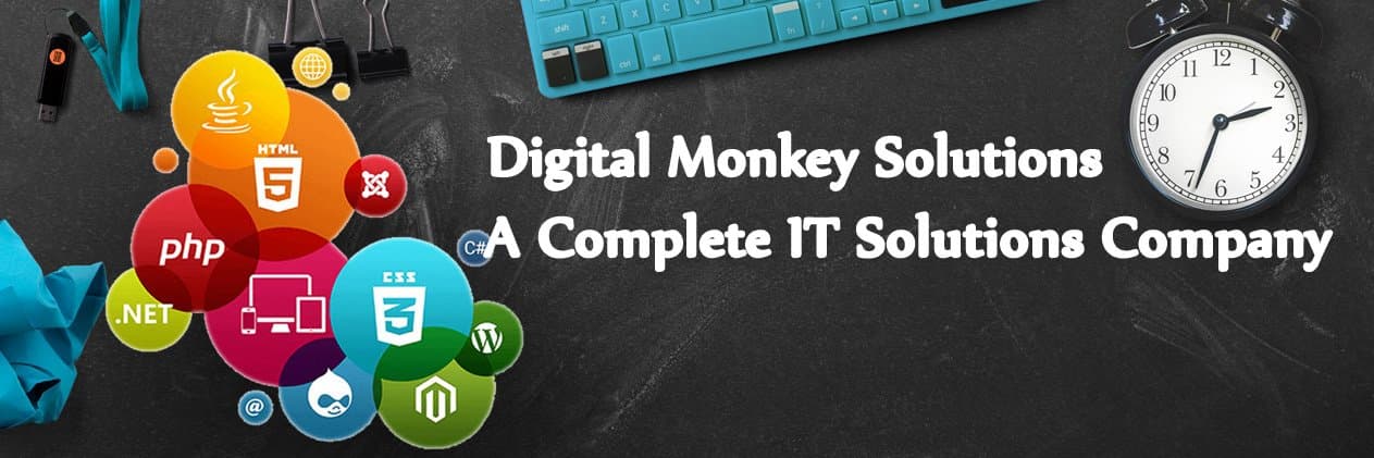 Digital Monkey Solutions Pvt Ltd cover picture