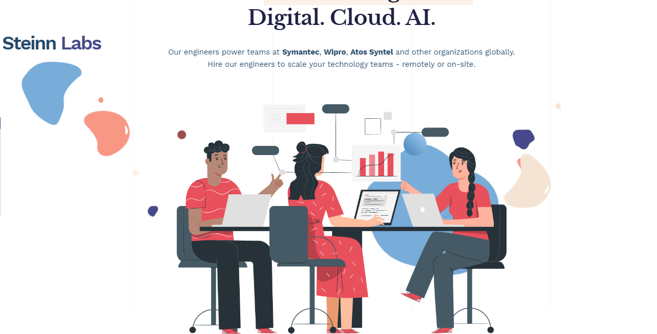 Steinn Labs Pvt Ltd cover picture