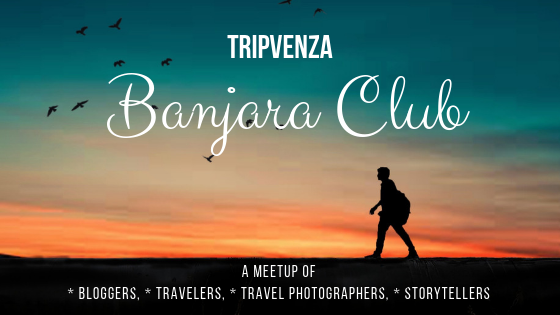 TRIPVENZA PVT LTD cover picture