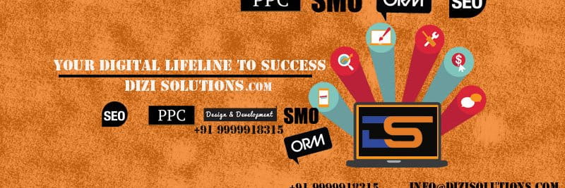 Dizi Solutions cover picture