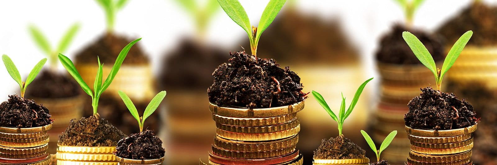 FINBUD FINANCIAL SERVICES PRIVATE LIMITED cover picture