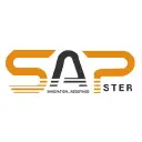 SAPster IT Consulting logo