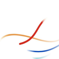 Energy Exemplar's logo