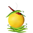 Truckola Technologies's logo