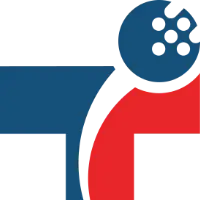 Technoidentity's logo