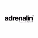 Adrenalin esystems's logo
