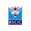 bscic certifications pvt. ltd logo