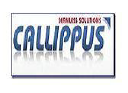 callippus solutions pvt. ltd logo