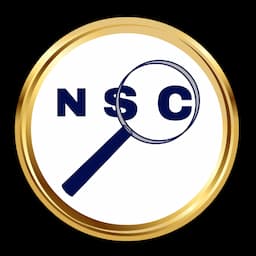 NetSysCon  logo