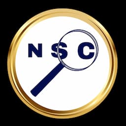 NetSysCon logo