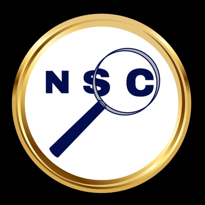 NetSysCon 's logo