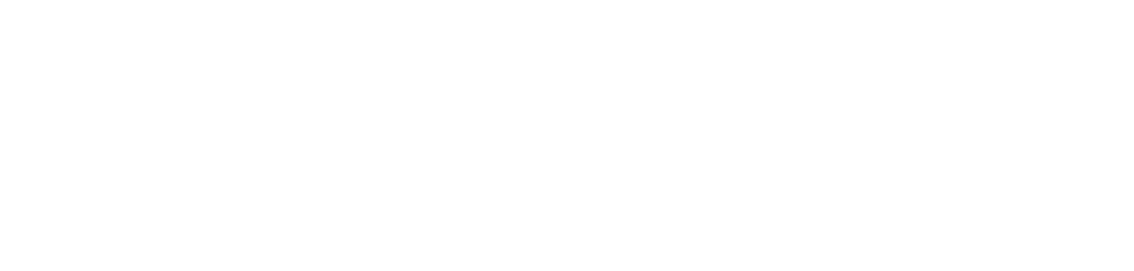numadic cover picture