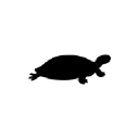 Black Turtle's logo