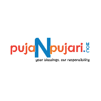Puja N Pujari's logo