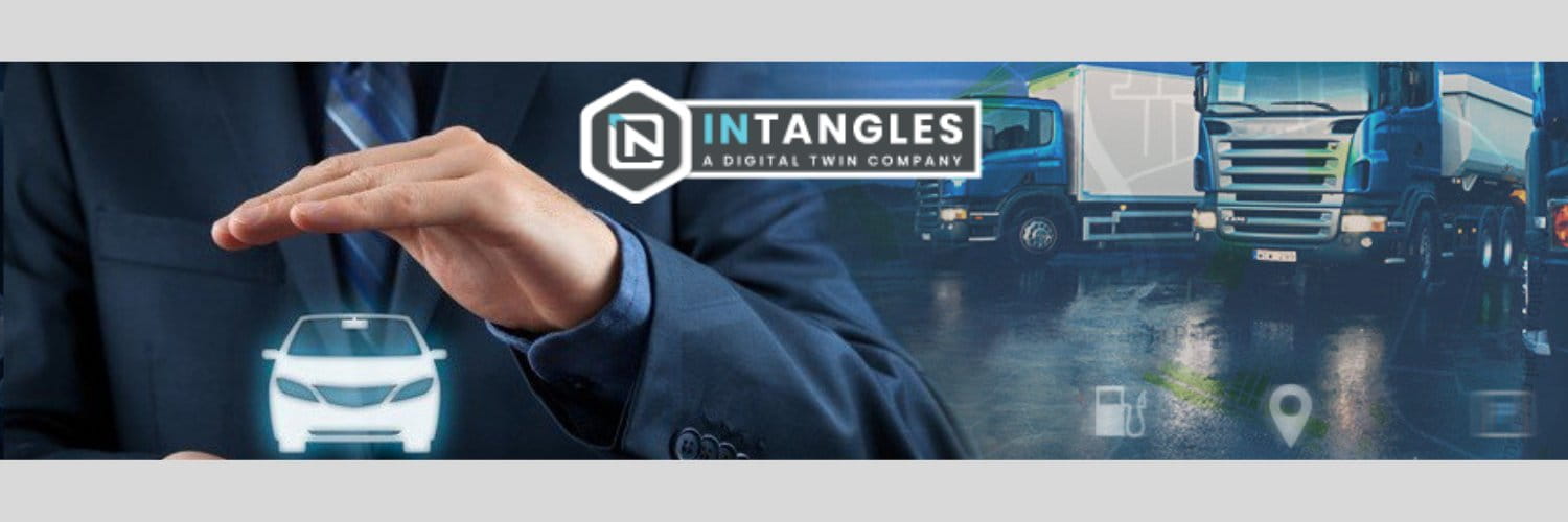 Intangles cover picture