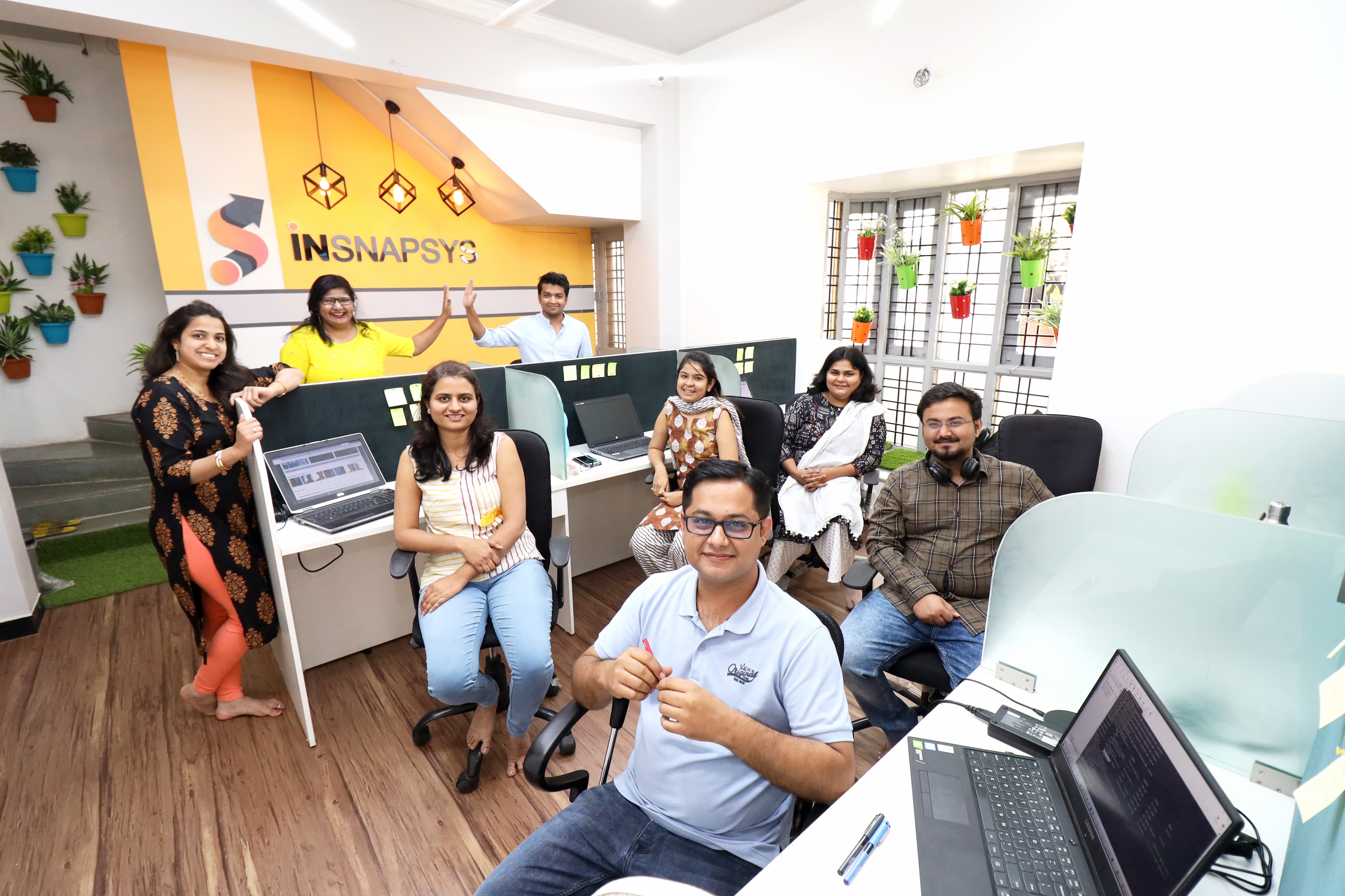 Insnapsys cover picture