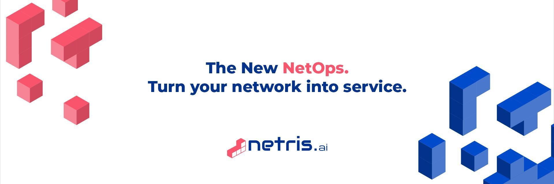 Netris cover picture