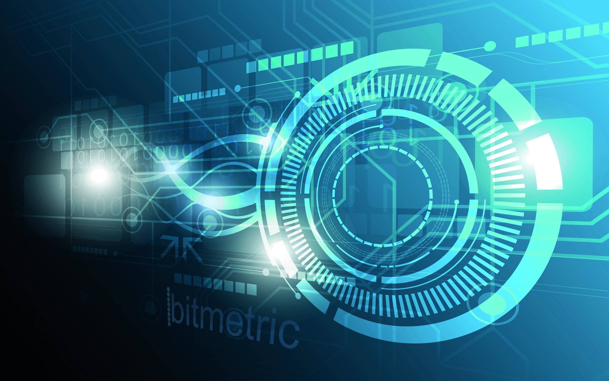 Bitmetric Solutions cover picture